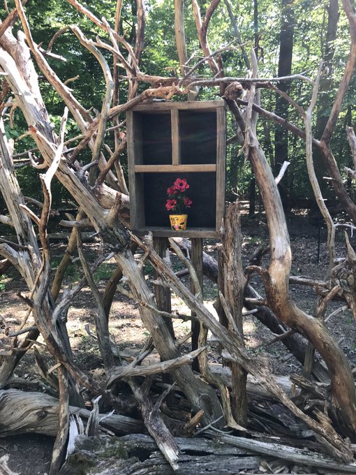 View image on Twitter