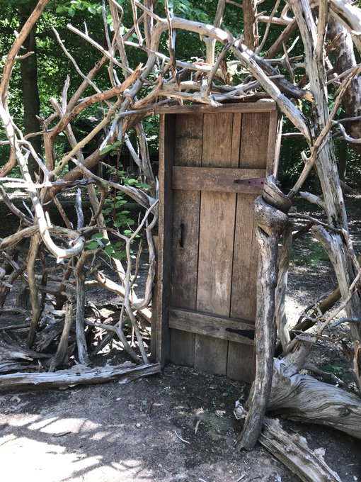 View image on Twitter