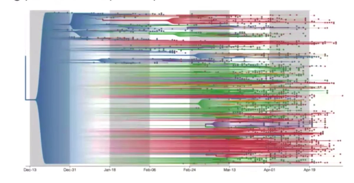<a href="/McCroneIV/">JT McCrone</a> gave an awesome talk today describing  analysis on the global spread of #SARSCoV2. 
A gentle intro to phylogenetics at the start too, so worth a watch for any wanting to know more about how we use genetic info to track viral spread! Watch here:
media.ed.ac.uk/media/1_3kixf0…