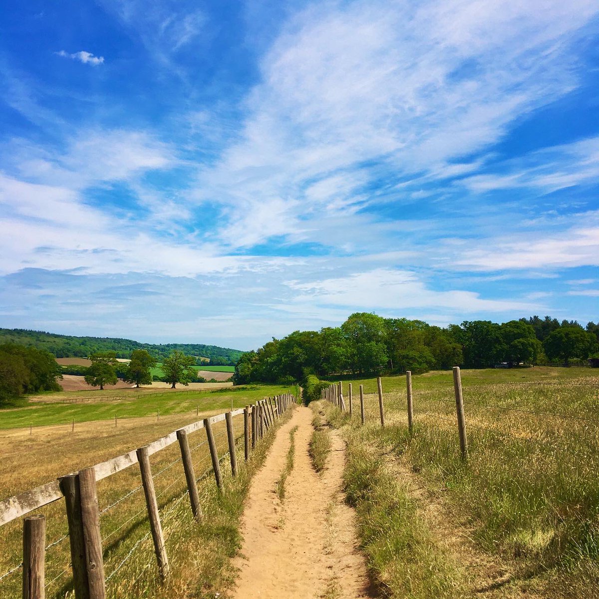 HannahFlowerday's tweet image. Loved walking the Pilgrims’ Way today! Hundreds of years ago pilgrims would have taken this path to get to the Shrine of St Thomas Becket in Canterbury. #PilgrimsWay #NorthDownsWay #Pilgrimage #ThomasBecket #Canterbury #SurreyHills
