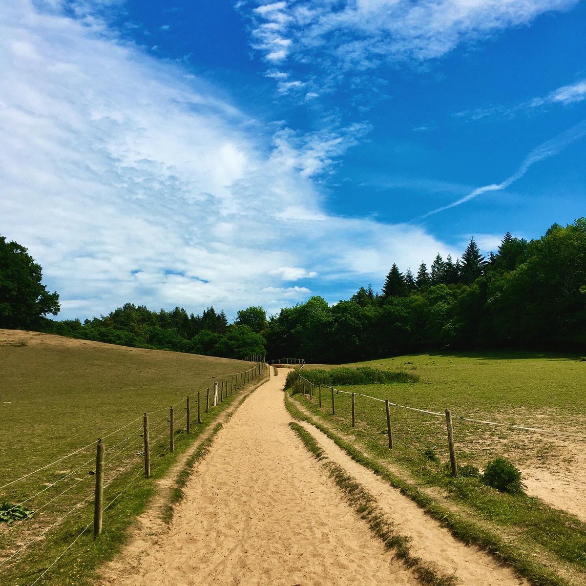 HannahFlowerday's tweet image. Loved walking the Pilgrims’ Way today! Hundreds of years ago pilgrims would have taken this path to get to the Shrine of St Thomas Becket in Canterbury. #PilgrimsWay #NorthDownsWay #Pilgrimage #ThomasBecket #Canterbury #SurreyHills