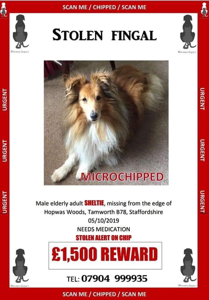 molliepug2's tweet photo. 🆘❤️🆘❤️🆘❤️🆘 Please keep sharing for Fingal, we would ideally like more posters in the B23 Sutton Coldfield area of Birmingham if any members are able to help ❤️
#findfingal https://t.co/h9360Gu8II