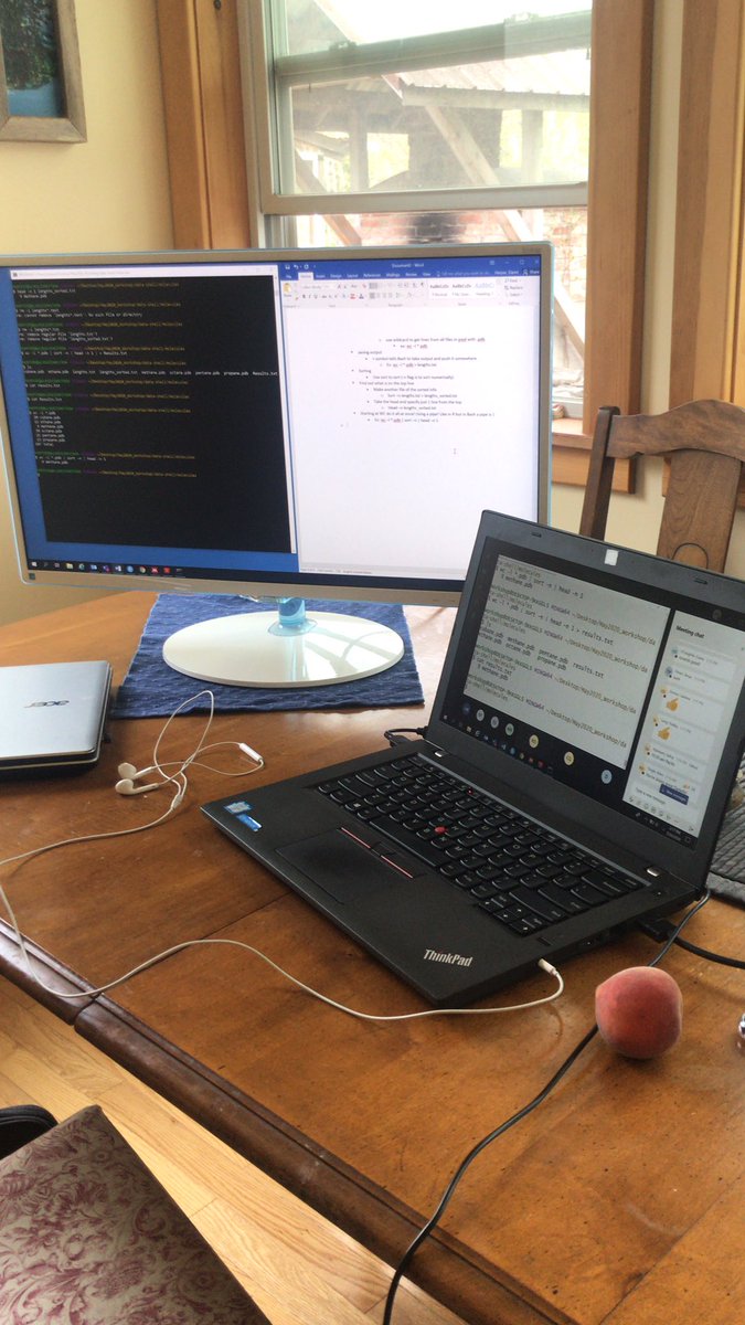 Day one of an R Carpentry Workshop with <a href="/daniellequinn88/">Danielle Quinn (she/her)</a>  learning all about using the Bash Shell 👩🏻‍💻
