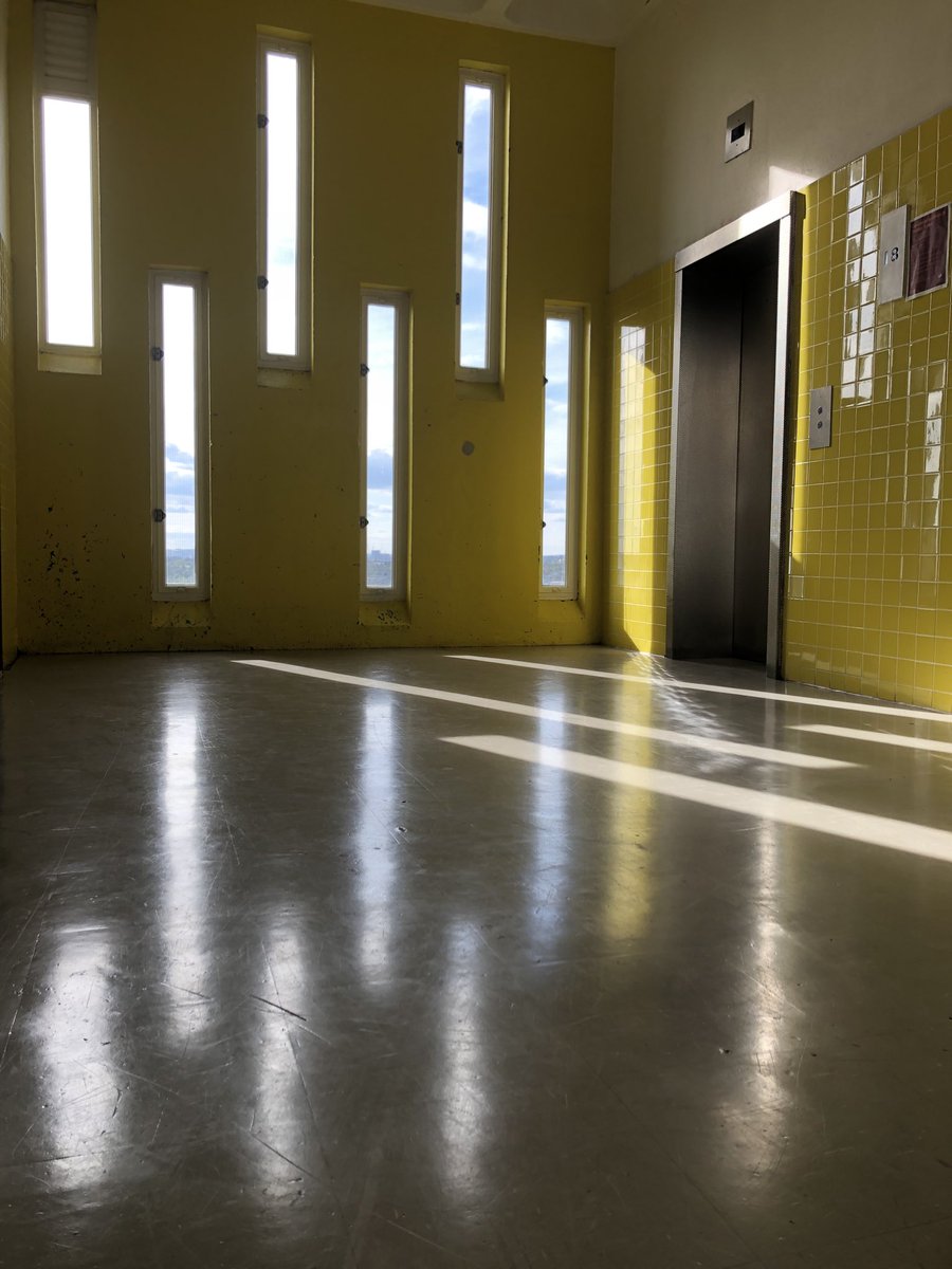 Becca_Trellick's tweet photo. Where I wait every day for the lift...beautiful light and colour lifts my spirits! #trellicktower #goldfinger #yellowtiles #brutalist https://t.co/aNDKYin2XS