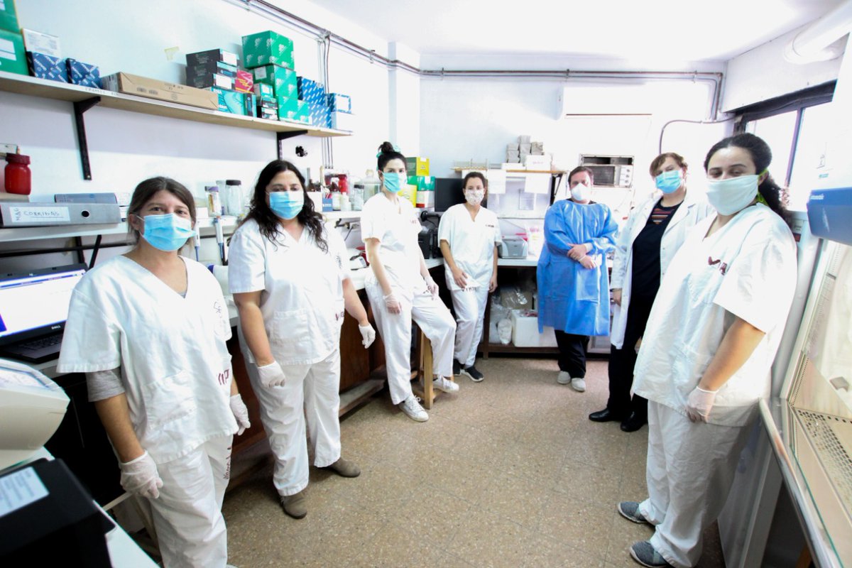 SaludBAP's tweet photo. El hospital Rossi de #LaPlata tiene un nuevo termociclador y pasará de realizar 30 determinaciones diarias a 80. En su laboratorio COVID19 trabajan 3 virologas, 3 residentes y 2 técnicos. Acelerar los resultados de los tests es clave en este contexto.
@BAProvincia 
@HospitalesBAP https://t.co/pVbNPoR1hh