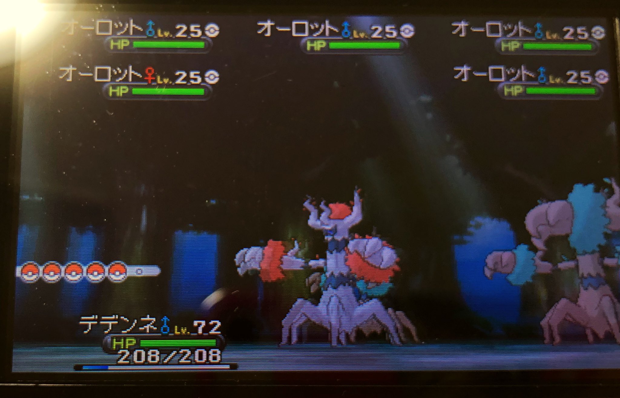 瑠璃 祝福 ウソッキーほんと出ないな って ん ポケモンxy 色違いポケモン T Co Gffrfkp8r6 Twitter
