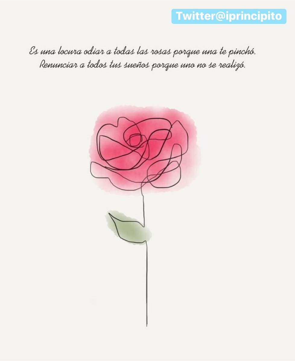 iPrincipito's tweet photo. Es una locura odiar a todas las rosas... https://t.co/Vdvpoc7Im9