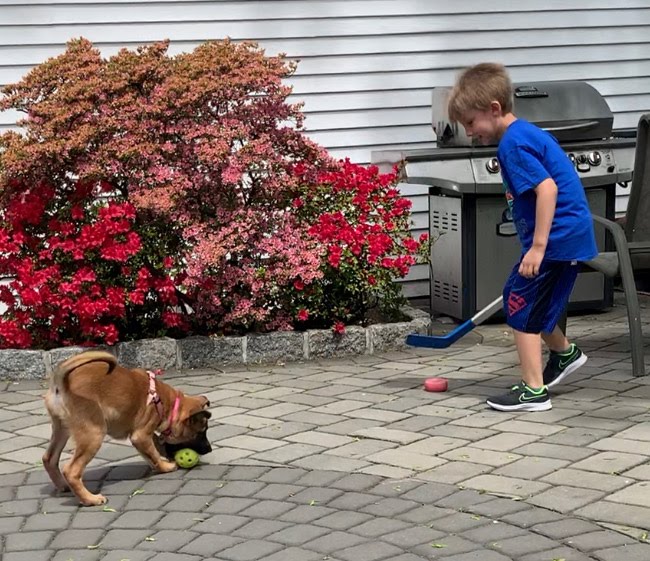 sdicecco's tweet photo. Shea is the best buddy to help Nicholas have a great  recess! She makes sure he is doing the right drills and exercises from Mr. Maio! @ps14bronx #RemoteLearningBuddy #OutdoorRecess https://t.co/0Ra4ZtUUsu