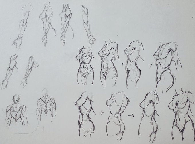 今日のstudy 