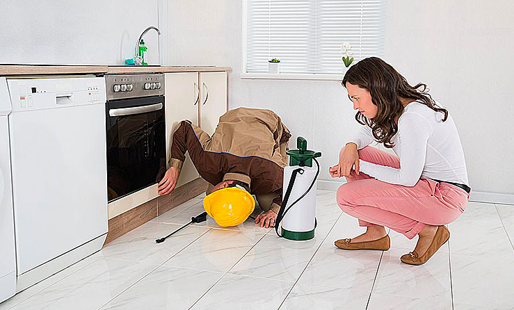 İstanbul Böcek İlaçlama
Sıcak havaların ve yaz aylarının gelmesi ile birlikte insanlarda olduğu gibi böcek ve haşereler de kendilerini dışarı atarlar. 
yigitcevre.com/istanbul-bocek…
#istanbulböcekilaçlama #ilaçlama #ilaçlamafirması #ilaçlamahizmetleri #böcekilaçlama #yiğitçevre