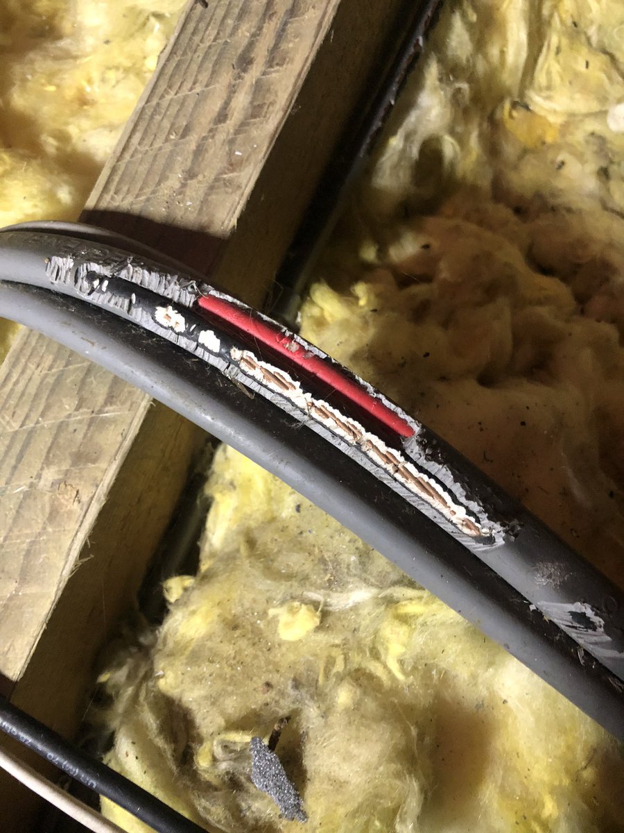 jamesgroom's tweet photo. Just a little bit of cable chewing https://t.co/9MkJwHuwRA