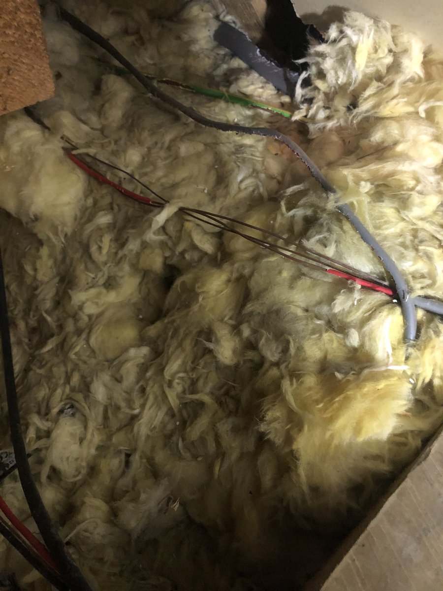 jamesgroom's tweet photo. Just a little bit of cable chewing https://t.co/9MkJwHuwRA