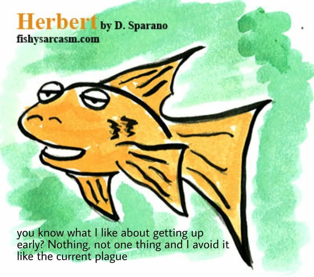 SparanoArts's tweet photo. Herbert has never changed his opinion. If you like this comic please become a #patron for $1 a month, https://t.co/wq1lA1wamo #comic #webcomic #webcomics #webcomicseries #webcomicsofinstagram #dailycomics #dailycomicstrip #cartoon #comicstrip #currente… https://t.co/3igDJmVkGL https://t.co/2EeWa2POkR