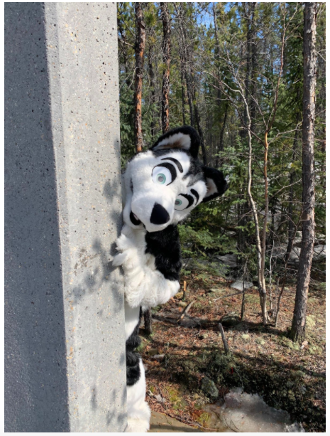 ESJS_Yk's tweet photo. It’s day 2 of our Where’s Chip? contest. This contest is open to all ESJS students (or students registered to attend ESJS). Look at the photo below. 

Do you think you know where Chip is in this photo? 

https://t.co/d5BUtw042x https://t.co/7ZA8MDRqka