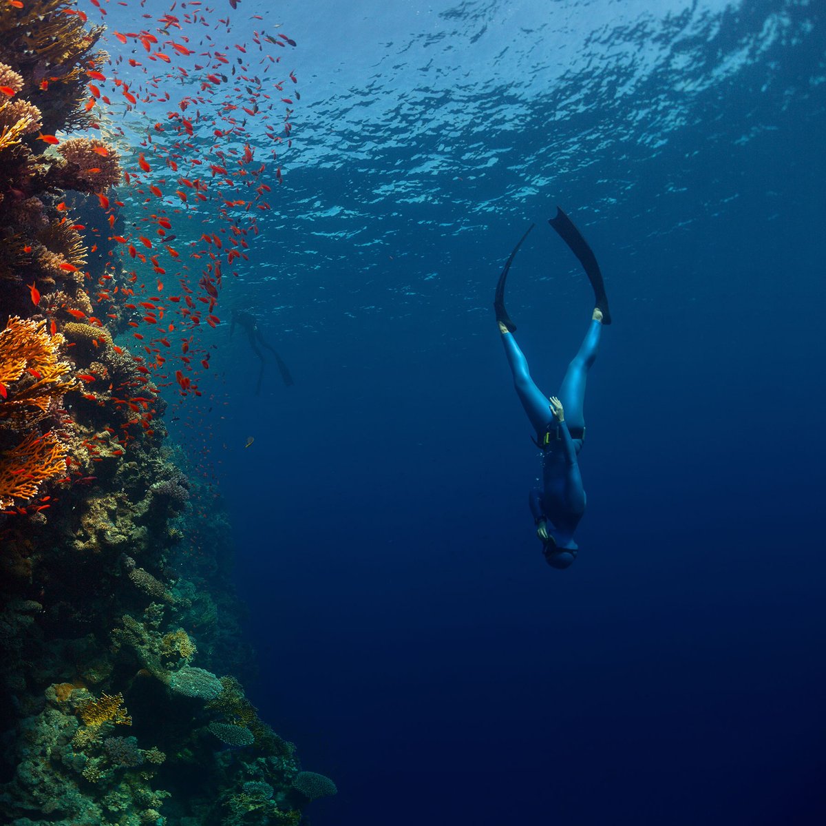 Our upcoming Benguela will have a depth rating of at least 500m WR (we'll be testing it to over 100m though), so freediving with it should be fine 😉

#drakenwatches