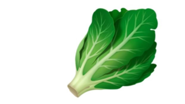 RATING DIFFERENT LETTUCE EMOJIS APPLE9/10Nearly perfect. Crisp. Excellent gradient. But lacking a certain “luster”. One feels she has recently given up a dream, and the grief of that loss still pursues her. She is doing the work and I’m proud of her.
