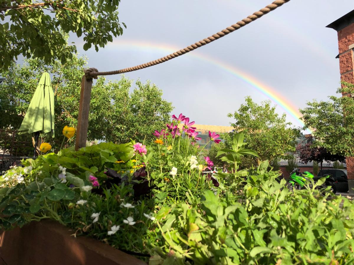 4580's tweet photo. #Boulder we have #HappyHour specials this week!  Join us in #NoBo for great #COCurbside takeout this week.  We are CLOSING temporarily next week, June 2, for updates &amp; a new-reopening of in-person dining! #EatLocal #LocalBar #BoulderEats #5280Eats https://t.co/fJzHhkT053 https://t.co/UQAkGtZr49