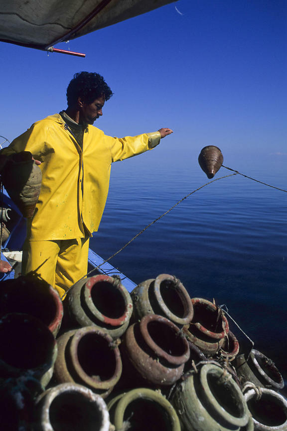 (...) la "pêche a la gargoulette", une pratique millénaire en Tunisie et qui continue de se pratiquer encore aujourd'hui.On raconte aussi que les pauvres (sur les littoraux) qui ne pouvaient se payer de viande envoyaient les jeunes à la mer afin qu'ils pêchent le poulpe.