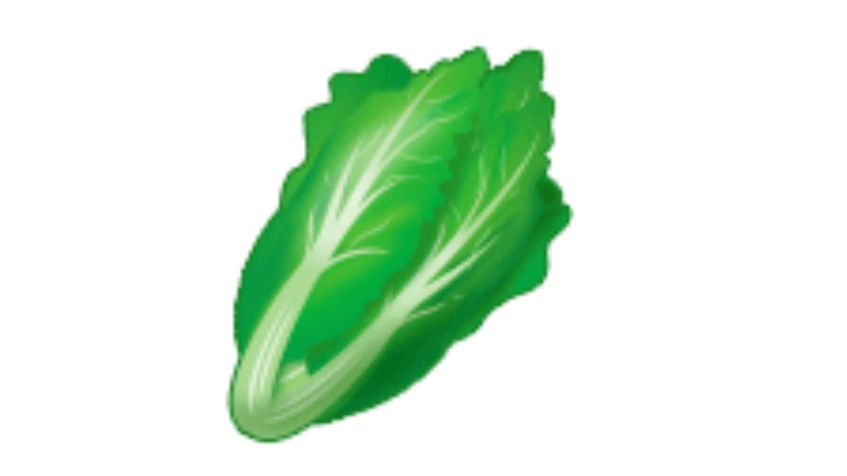 SAMSUNG : 7/10This lettuce is deeply codependent on his father, who inflates his ego because he is not capable of understanding the difference between himself and his child. A fractured ego, but all the same, he is a pleasing shape and has a satisfying, dense foliage.
