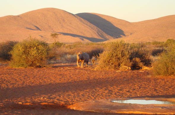 Tswalu Kalahari Reserve, Northern Cape