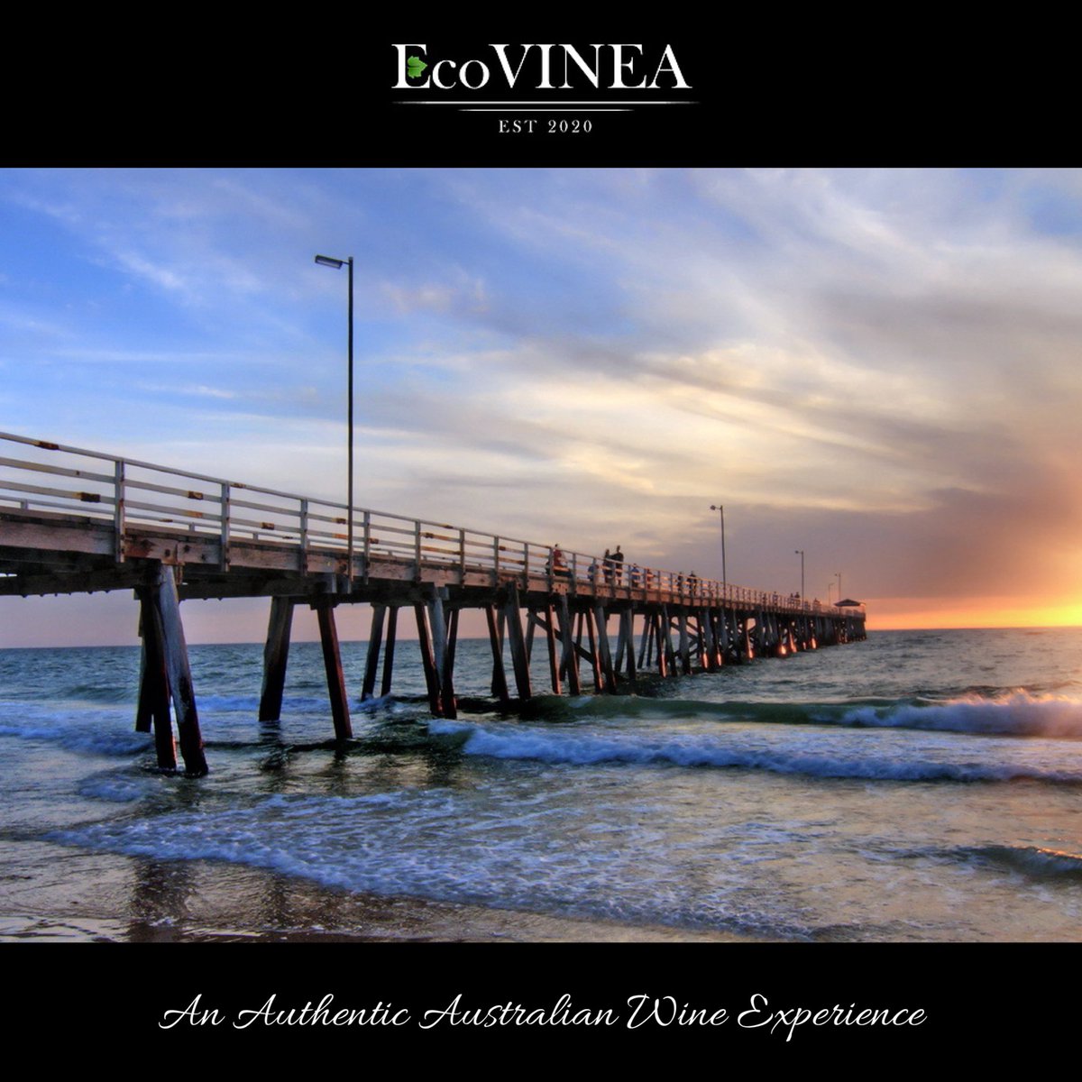 “One of our favorite spots anywhere in the world, the Grange Jetty in South Australia.”

EcoVinea provides exclusive small-batch Australian wine within the USA, shipped directly to your door. 

#ecovinea #southaustralia #wine