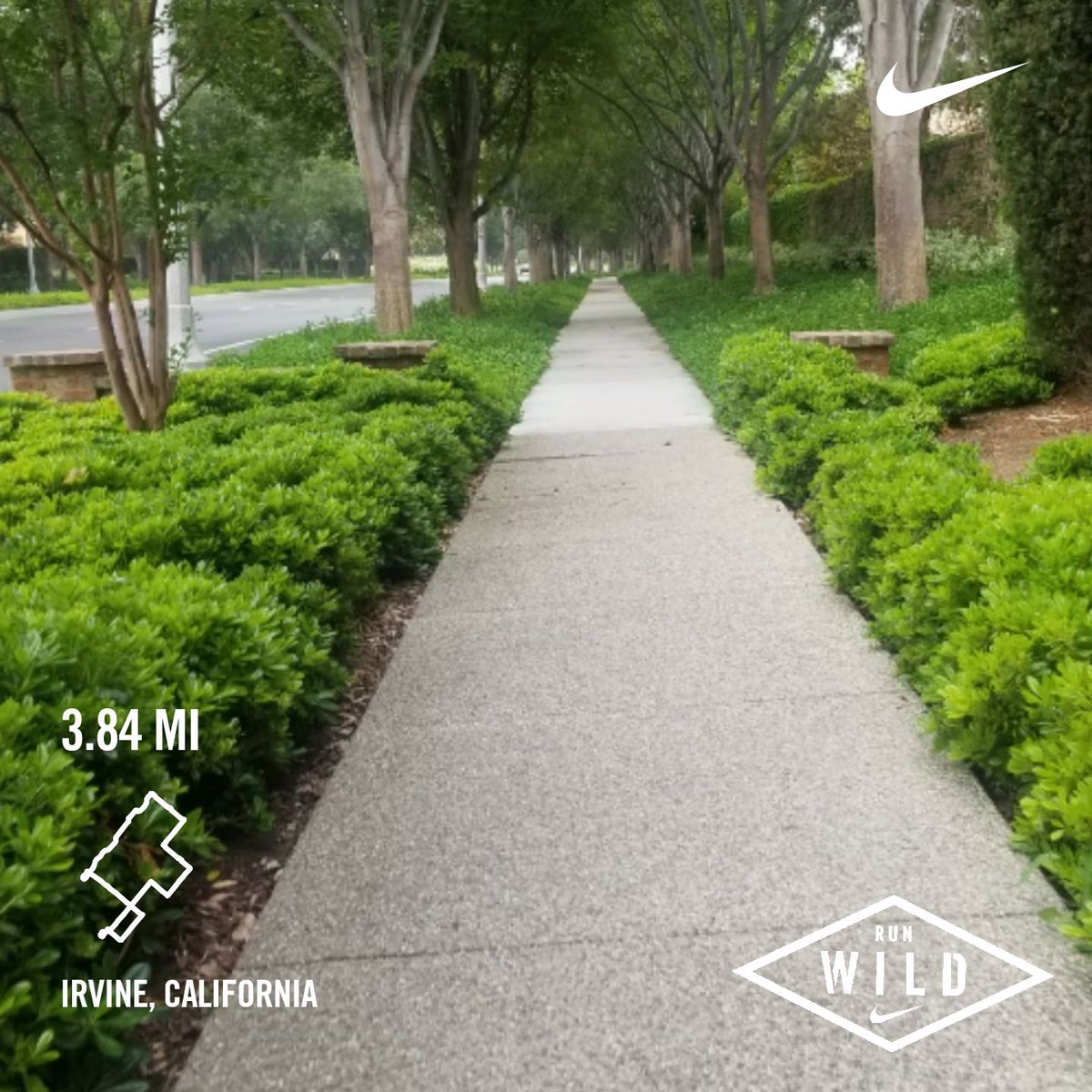 jolliceci's tweet photo. I got lost but found this beautiful street to run down 😂 the joys of maps going blank. #nikerunclub #socialdistancerunclub https://t.co/o2Uqh1no2k