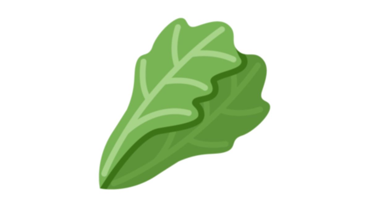 TWITTER : 3/10This lettuce is what happens when someone who has never seen a leafy vegetable tries to draw lettuce. “Yeah couple leaves? Kinda long? Shaped like a long necked dinosaur embryo seen from the side? Sure here you go”