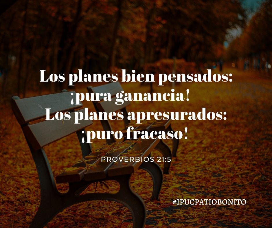 Ipuc Patio Bonito tweet media