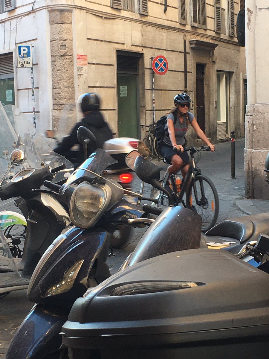 mmolinaleon's tweet photo. La #nuovanormalità, #Roma, #ViaRipetta: y los gorriones montaban en moto https://t.co/oxhIy42gCR