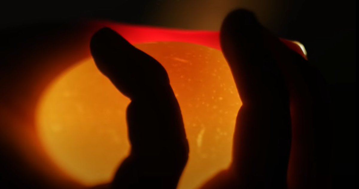 Within a second is this shot, a glowing egg (fertilized Embryo?)
