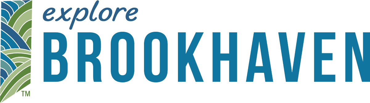 Town Brookhaven tweet media