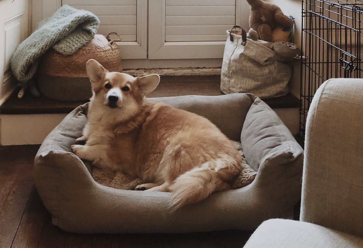 Marine ✨ tweet media