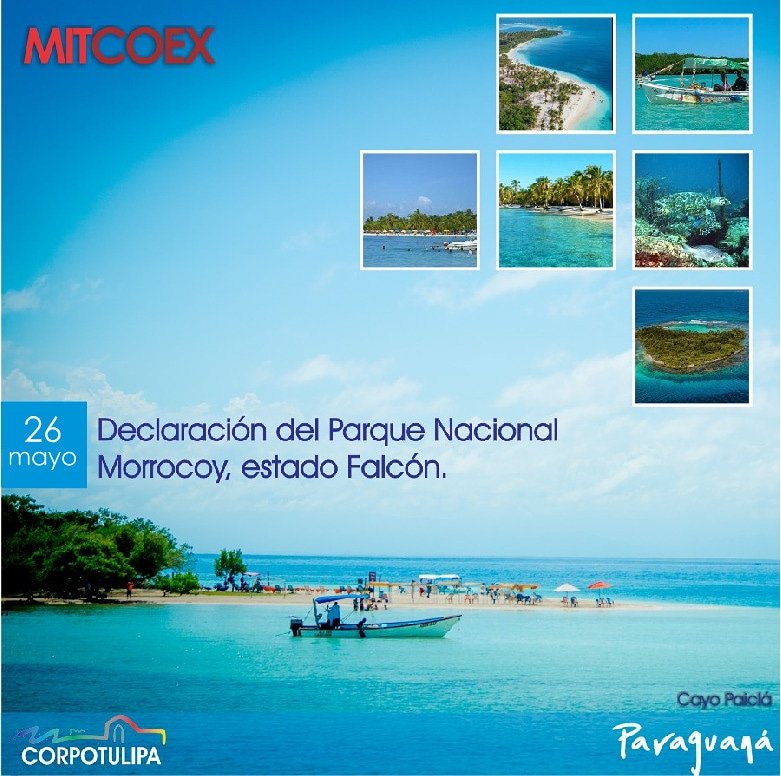 CorpotulipaP's tweet photo. El Parque Nacional Morrocoy, ubicado en el estado Falcón, este 26 de mayo cumple 46 años desde su declaración.
–
Uno de los destinos turísticos playeros más visitados por su riqueza ambiental y sus espacios de recreación. 
@Inatur_vzla @PLASENCIAFELIX @MitcoexV https://t.co/8GlK9cVZ8r