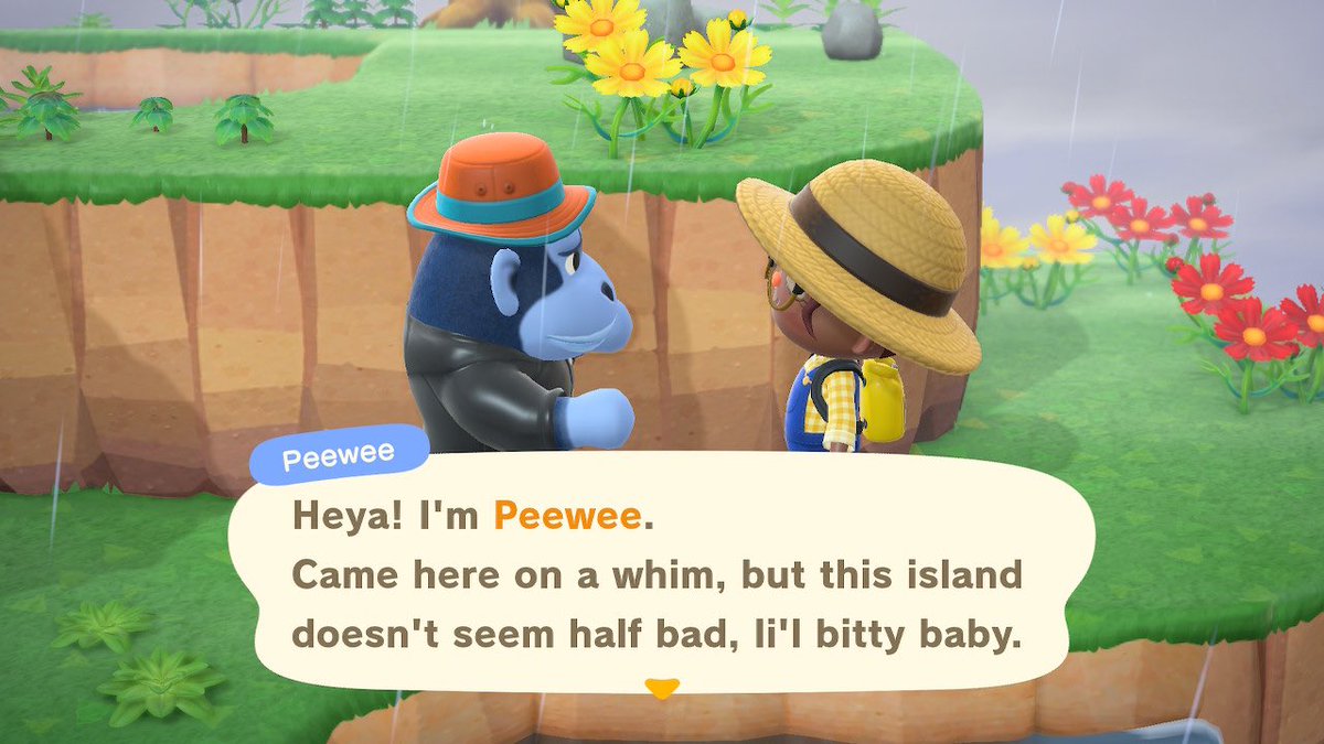 more cuties! Peewee is definitely my favorite Gorilla. i’ve never seen Candi before. why doesn’t she have a mouth?  i’m concerned