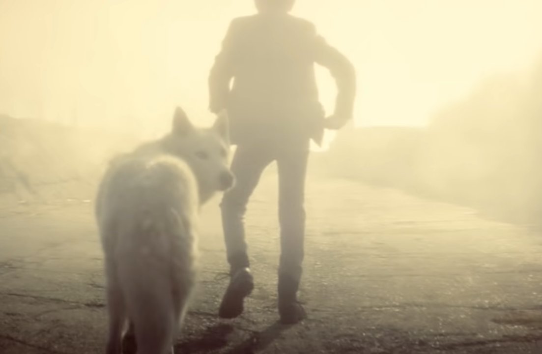 At this point the song begins and there are many shots of the band mixed in (I will mostly ignore the band shots).This one shows the wolf/dog/coyote guiding the kid down a road. (coyote trafficking reference from earlier?)