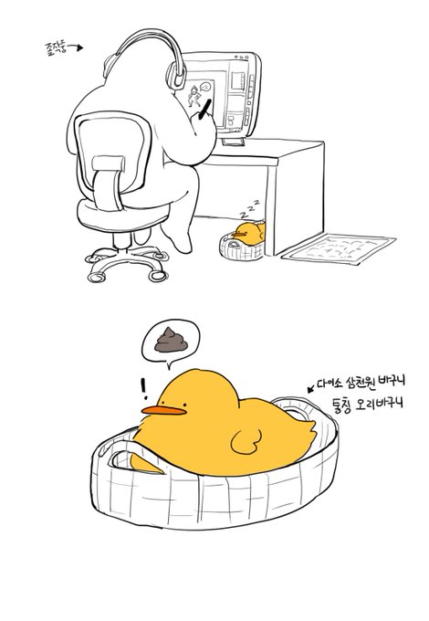 오린이 어제부터 잘못 똥싸고 몇 번 불러도 내가 안 오면 부리로 발 쪼아서 알리러 옴. 천재오리 