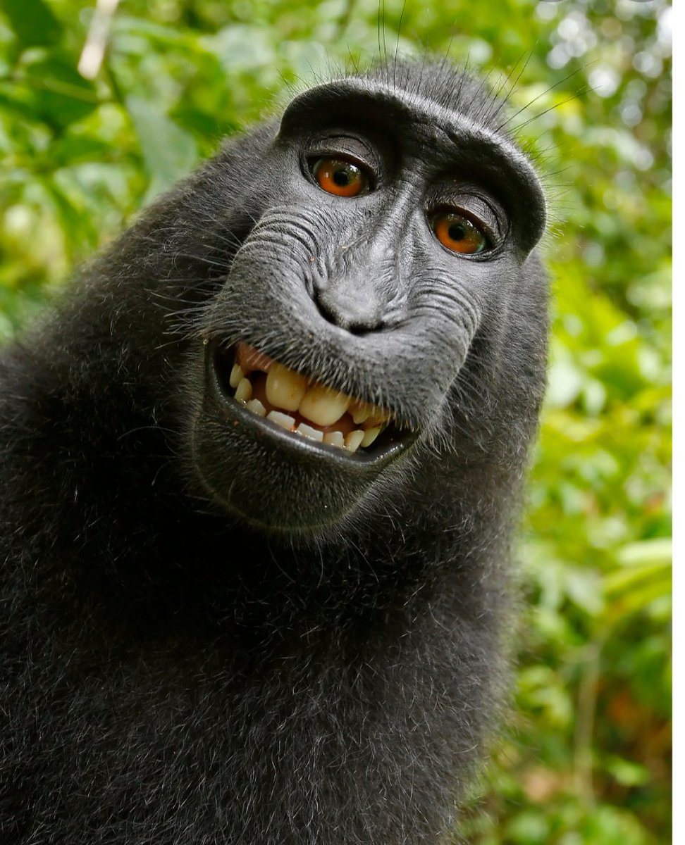 Uma evolução diferente mas não deixa de o ser...