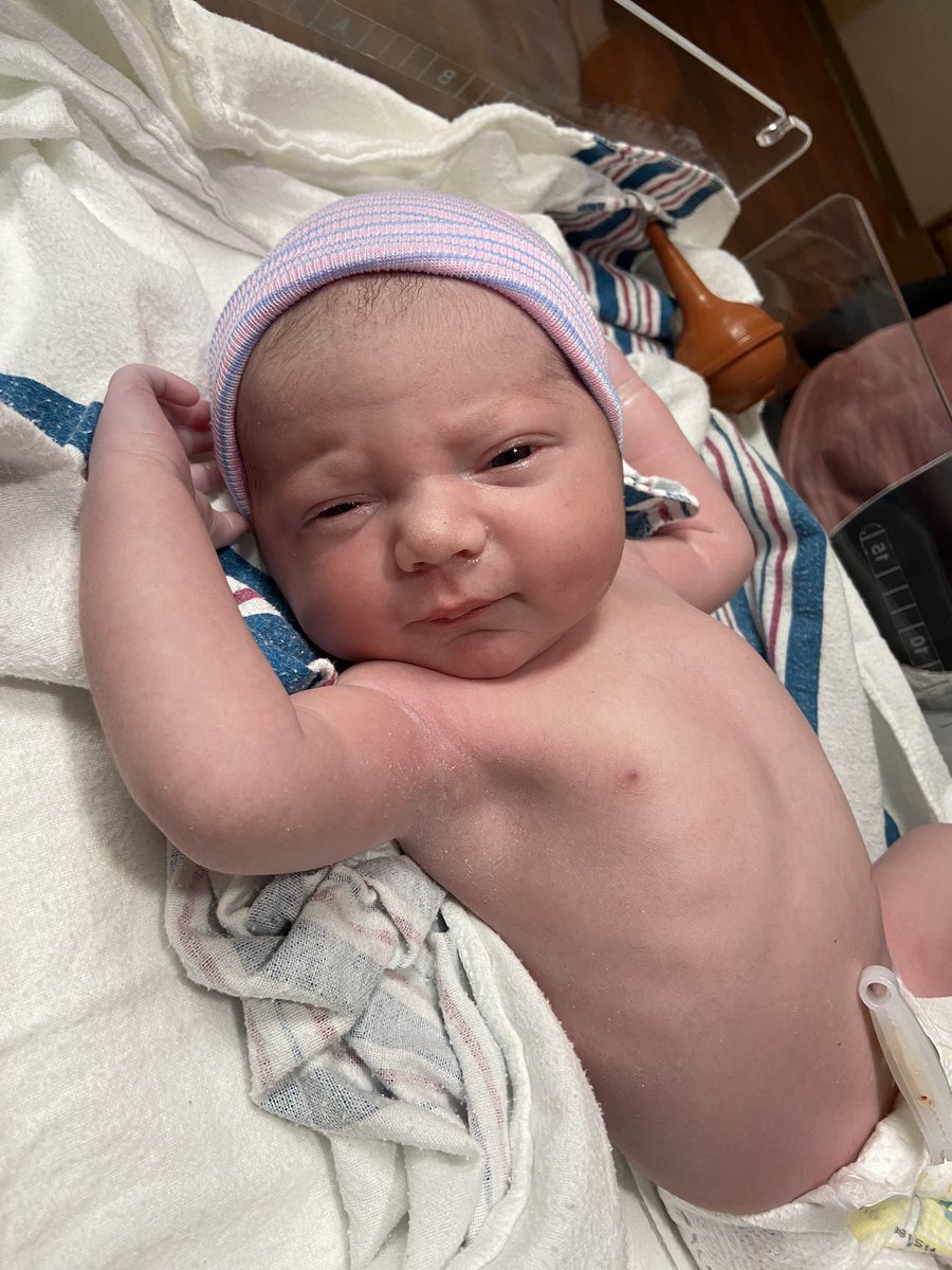 kyleenewlin's tweet photo. How could you not love this face🥺 https://t.co/uuJBYrk696