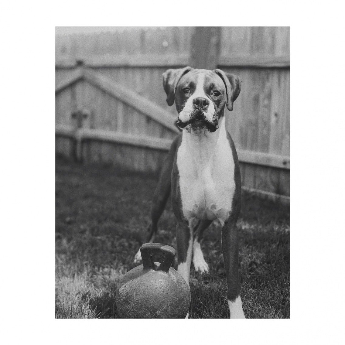 James Leavy tweet media