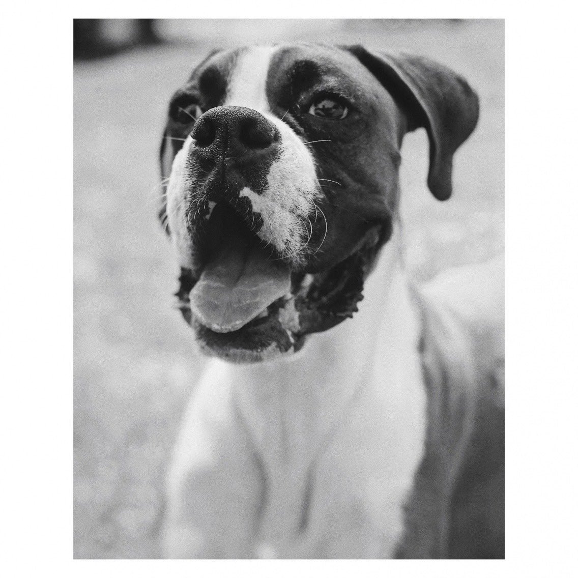 James Leavy tweet media