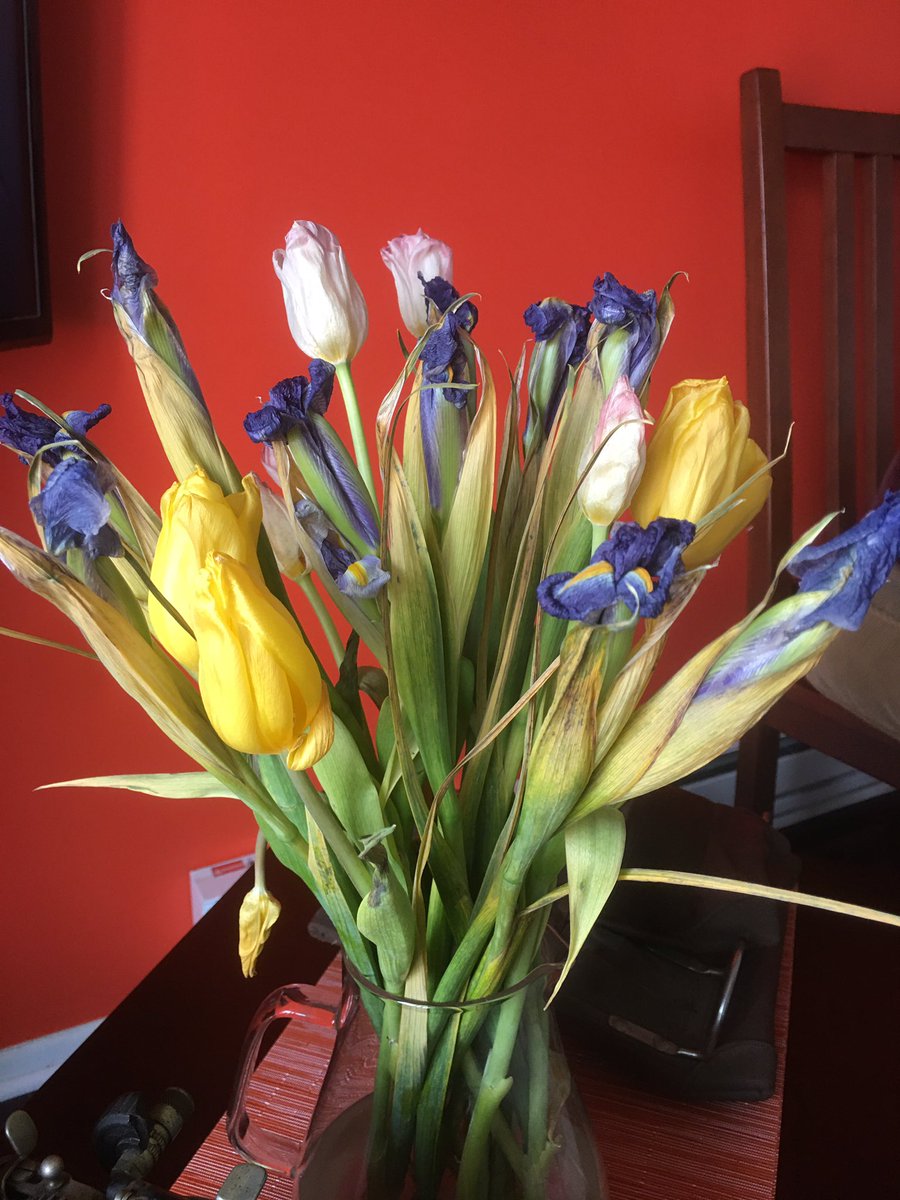 myguypablo's tweet photo. @1800flowers Bad experience with 1800flowers purchase. These flowers are terrible. #CustomerService #1800flowers #flowers https://t.co/tFcZDrkIYX