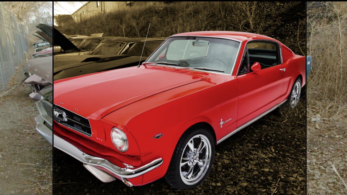 ModMustangs's tweet image. On Ep. 4 of #Roadkill&apos;s @junkyardgold, @SteveMags426 seeks &amp;amp; finds a 1965 #Mustang 2+2 four-speed &amp;amp; other auto treasures at Colorado Auto &amp;amp; Parts. Stream it on the @MotorTrendApp to find out what he thinks this restored Mustang would sell for at auction 👉bit.ly/2zAtW1l