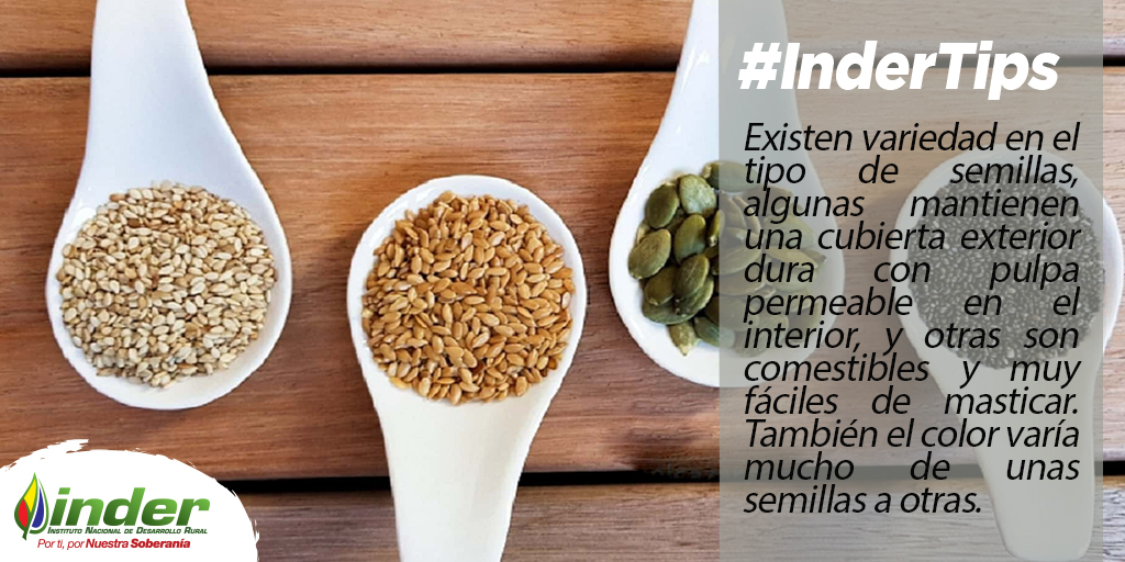 indervenezuela's tweet photo. #InderTips Existen variedad en el tipo de semillas, algunas mantienen una cubierta exterior dura con pulpa permeable en el interior, y otras son comestibles y muy fáciles de masticar. También el color varia mucho de unas semillas a otras @wcastroPSUV https://t.co/RAXEW5sxSY