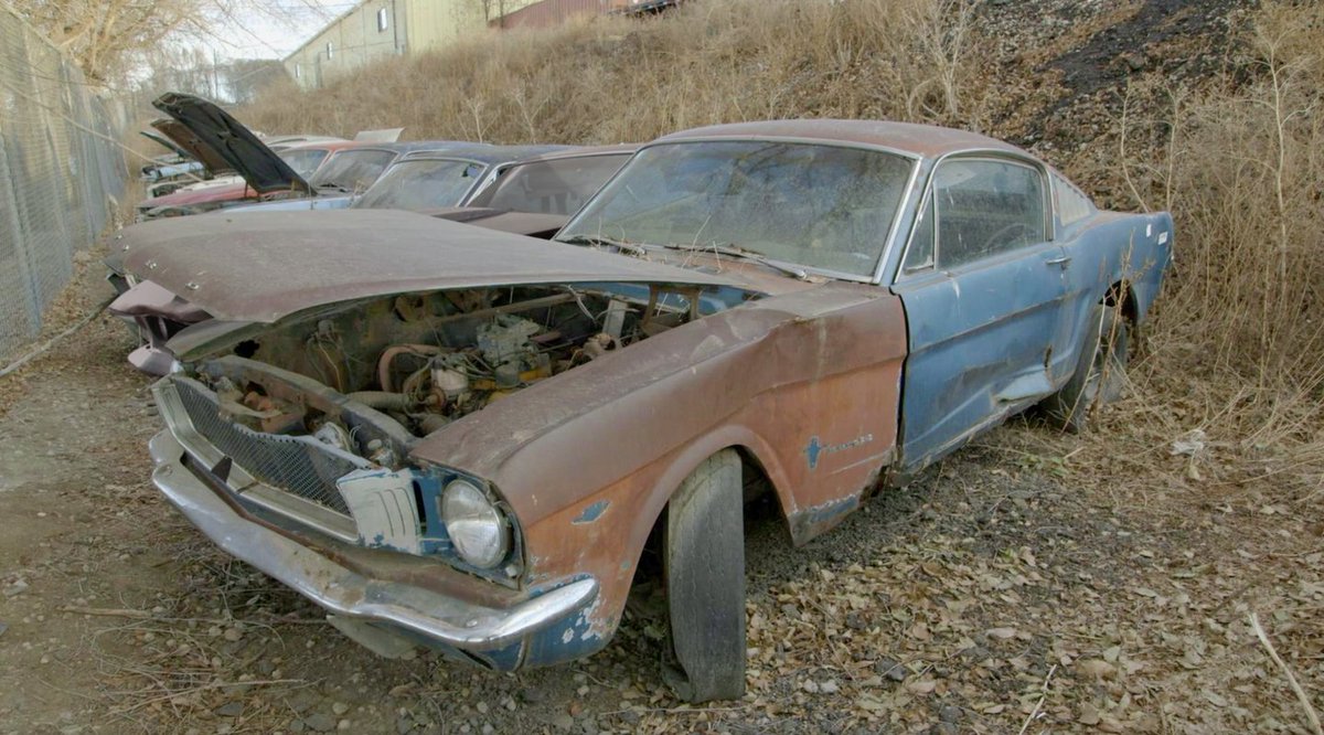 MMFFmagazine's tweet photo. On Ep. 4 of #Roadkill's @junkyardgold, @SteveMags426 seeks &amp; finds a 1965 #Mustang 2+2 four-speed &amp; other auto treasures at Colorado Auto &amp; Parts. Stream it on the @MotorTrendApp to find out what he thinks this restored Mustang would sell for at auction 👉https://t.co/jQN01qHggB https://t.co/UW1MZbCgLS