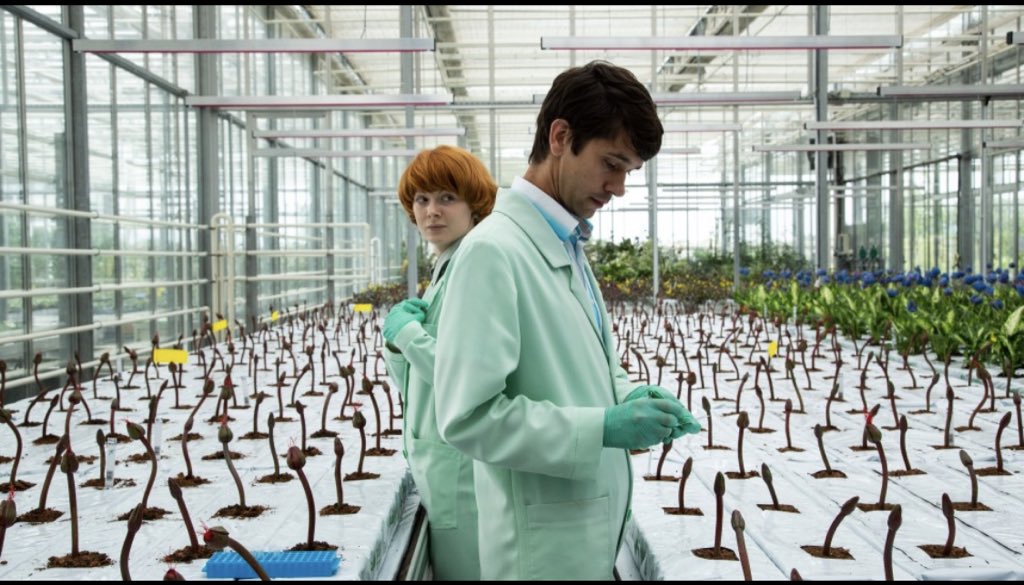 LITTLE JOE (dir. Jessica Hausner). This film was cool especially in the current climate of a virus infected world! A sort of more scientific modern day ‘day of the triffids’. The kinda film you’d analyze in a film class.