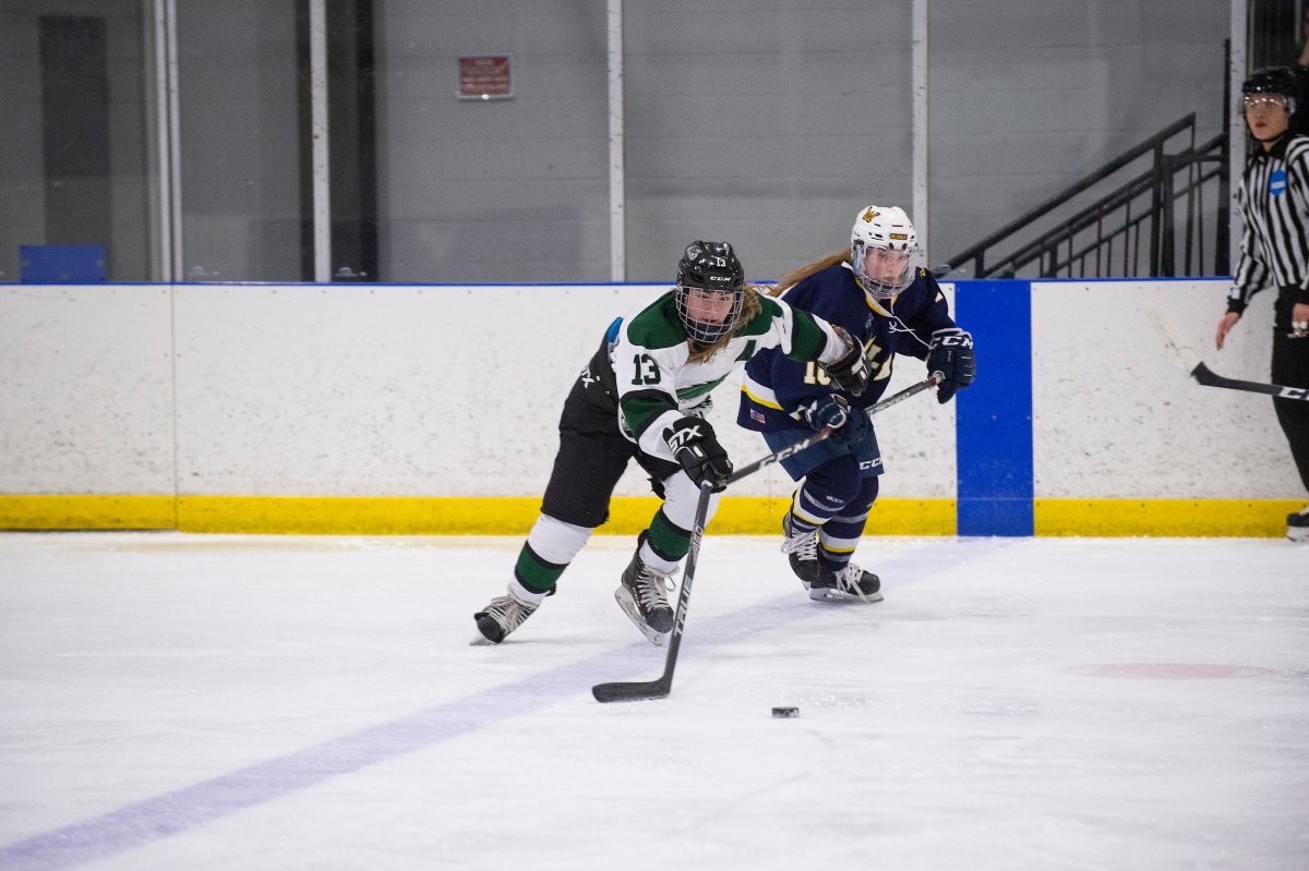 Stevenson Women’s Ice Hockey (StevensonHockey) Twitter