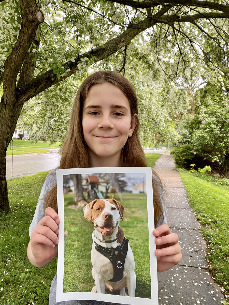 IvePetThatDog's tweet photo. I would love to pet Creed. He is a 3 year old American Bulldog mix. He goes to daycare and loves playing outside with his friends. He is cuddly, especially to the 4 kids in his family. He licks a lot of faces. Creed has a heart on his side which shows how much love he gives. https://t.co/V7r28rl1rP