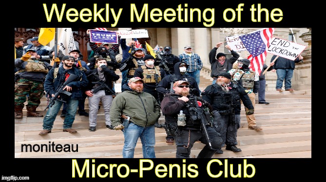 FMoniteau's tweet image. #MichiganTerrorists #MichiganProtest