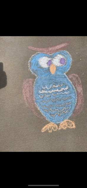 learnwithkirn's tweet photo. So happy to see everyone at the Oakview parade yesterday!  Thank you to all the students and families for coming out. We miss our Oakview Owls!  #owlsome @OakviewElem https://t.co/TYCNPKLJrJ