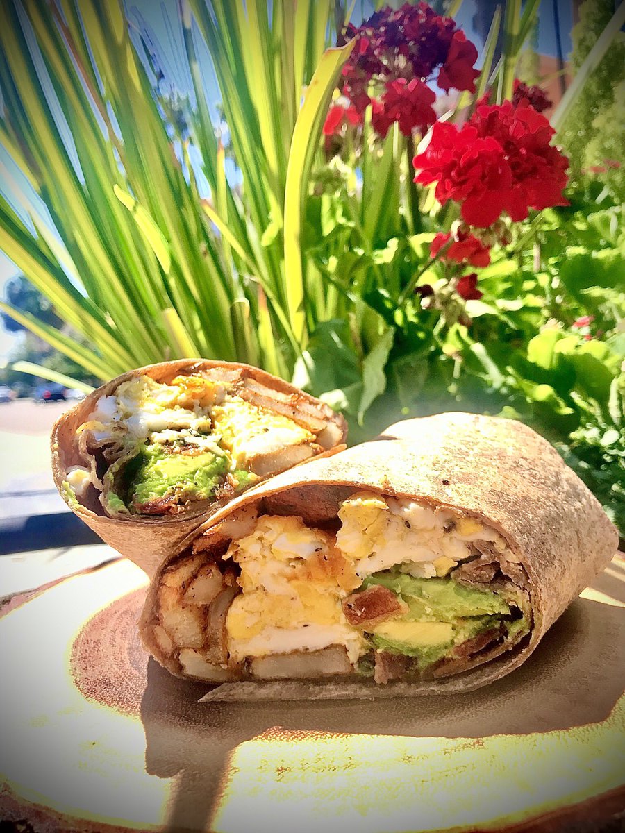 treelogycafe's tweet photo. A Breakfast Burrito is like a sunshine, it tastes so good! 🌳 #treelogycaferestaurant #healthyfood #supportsmallbusiness #supportlocalbusiness #takeout #sandiego #pacificbeach #burrito https://t.co/iG7y8h7EDb